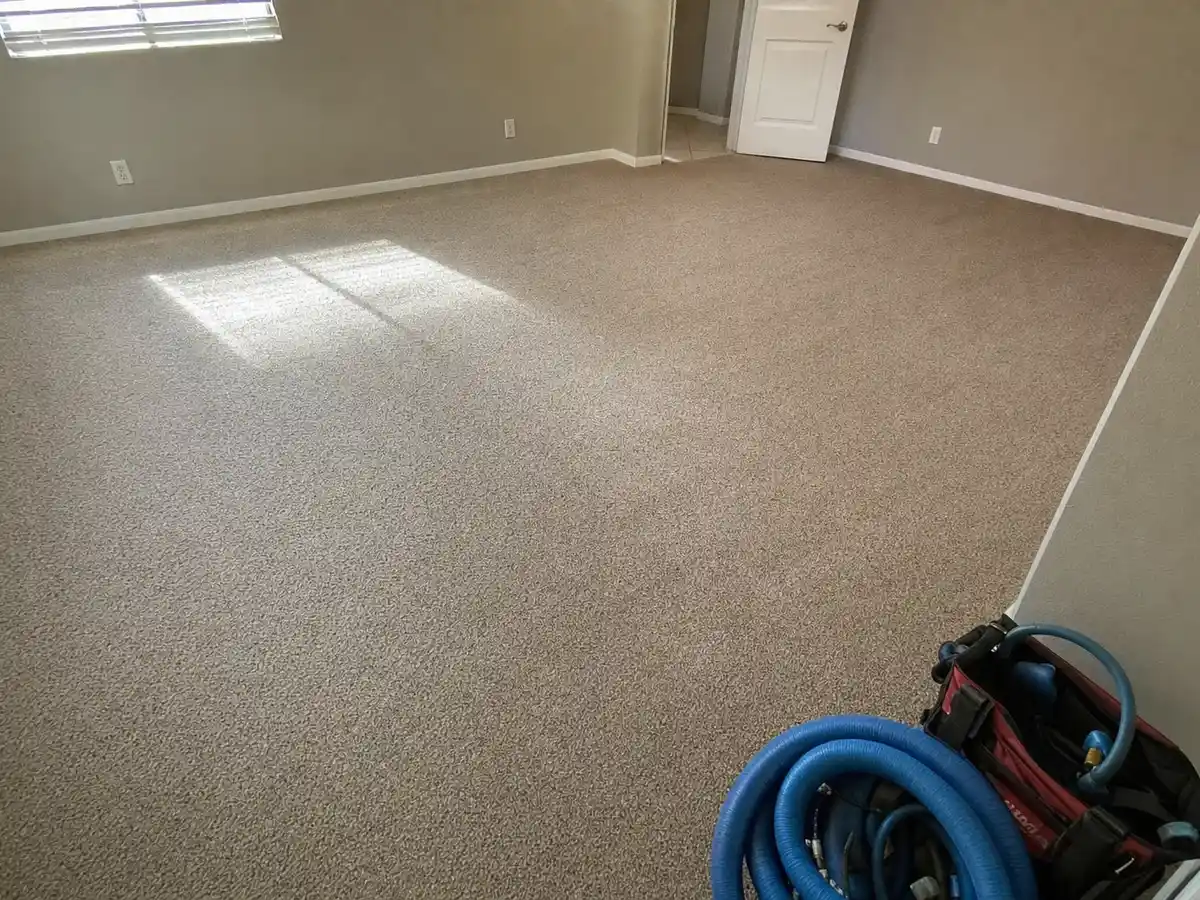 Freshly cleaned carpet with the furniture back in place — completed job in Thousand Oaks, CA